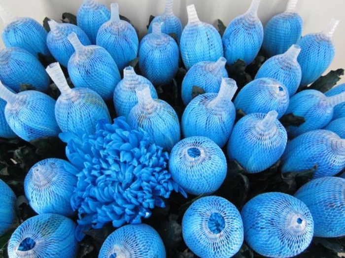 <h4>Chr G Antonov Licht Blauw</h4>