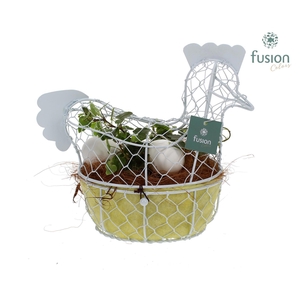 Pasen Kip gaas pastel met Hedera