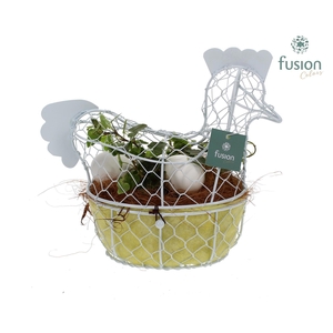 Pasen Kip gaas pastel met Hedera