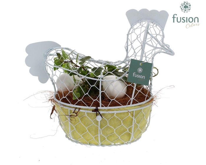 <h4>Pasen Kip gaas pastel met Hedera</h4>