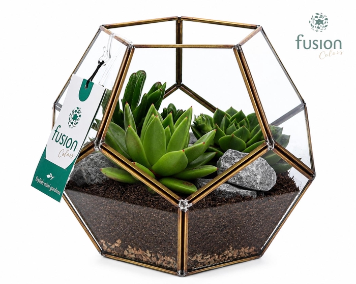 <h4>Geometrisch planter Medium met succulenten arrangement</h4>