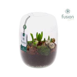 Green Bottle Isabella Large Pasen met Bollen mix