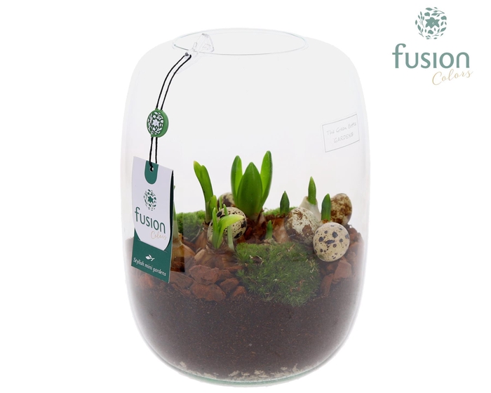 <h4>Green Bottle Isabella Large Pasen met Bollen mix</h4>