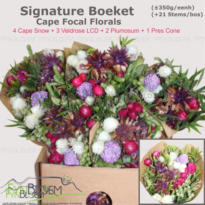 <h4>KAAPS GROE GEM IN BS</h4>