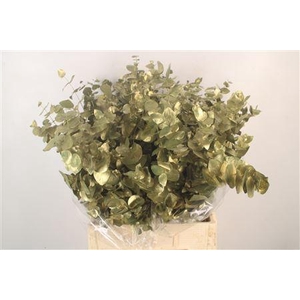 Euca Cin V Metallic Olive 400 Gram