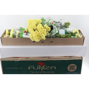 Di St Hermes Yellow Box