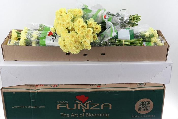 <h4>Di St Hermes Yellow Box</h4>