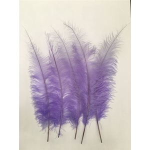 Feather Ostrich 5 Pcs L55