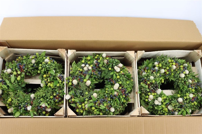 <h4>Wr Sierfruit De Luxe Green 30cm</h4>