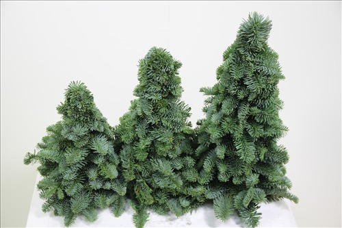 <h4>KERSTBOOM 60 CM</h4>