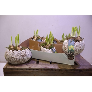 arr8 Arr N Tete A Tete In Beton Ei