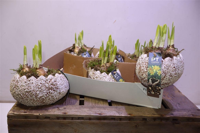 <h4>arr8 Arr N Tete A Tete In Beton Ei</h4>