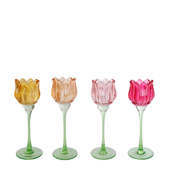 Candlelight Glass Tulip d07*22cm