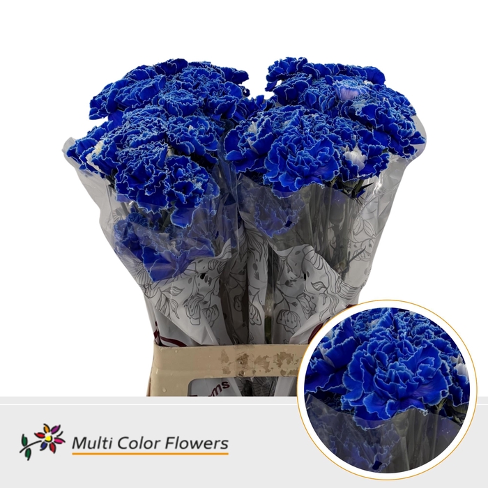 <h4>DI St Blauw Donker</h4>