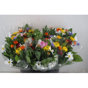 Boeket Primavera P Bunch