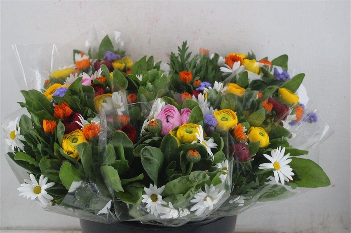 <h4>Boeket Primavera P Bunch</h4>