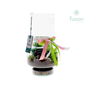 Green Bottle Lotte Medium met Grootmoederdag arrangement