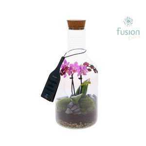 Green Bottle Fles Small met Phalaenopsis