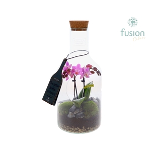 Green Bottle Fles Small met Phalaenopsis