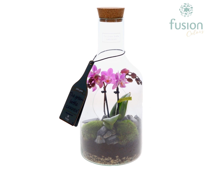 <h4>Green Bottle Fles Small met Phalaenopsis</h4>
