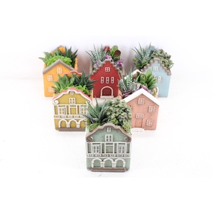 arr3 SN - Casa home mix L x6