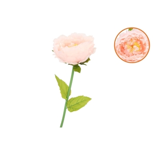 Silk Amazing Peony Beauty Peach Xxxl 58x140cm