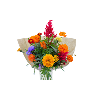 BQ Nature Grown Medium