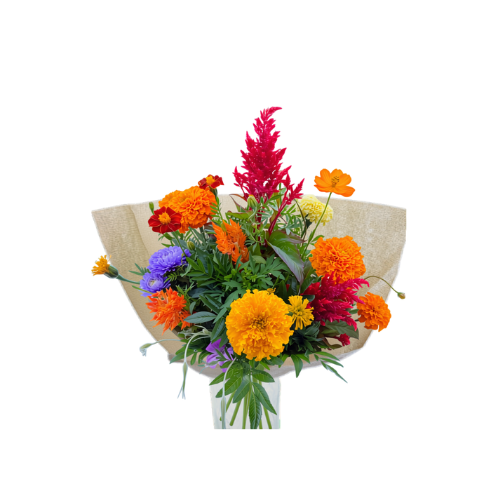 <h4>BQ Nature Grown Medium</h4>