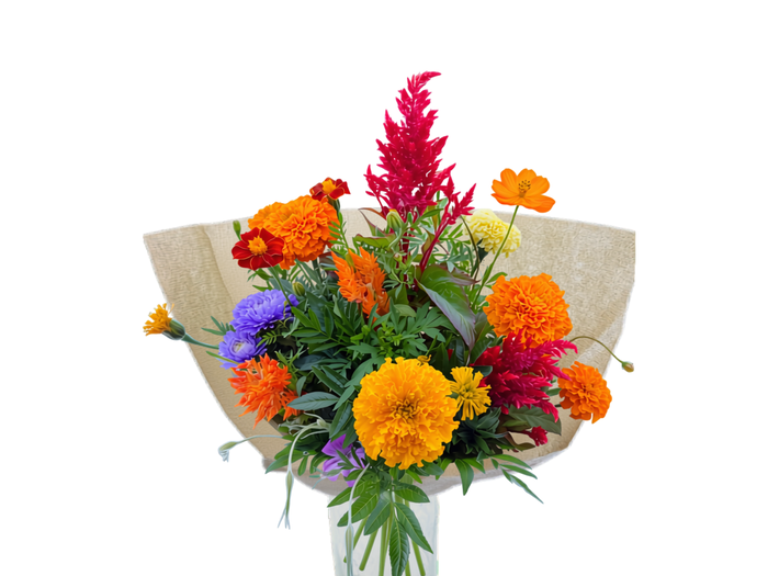 BQ Nature Grown Medium