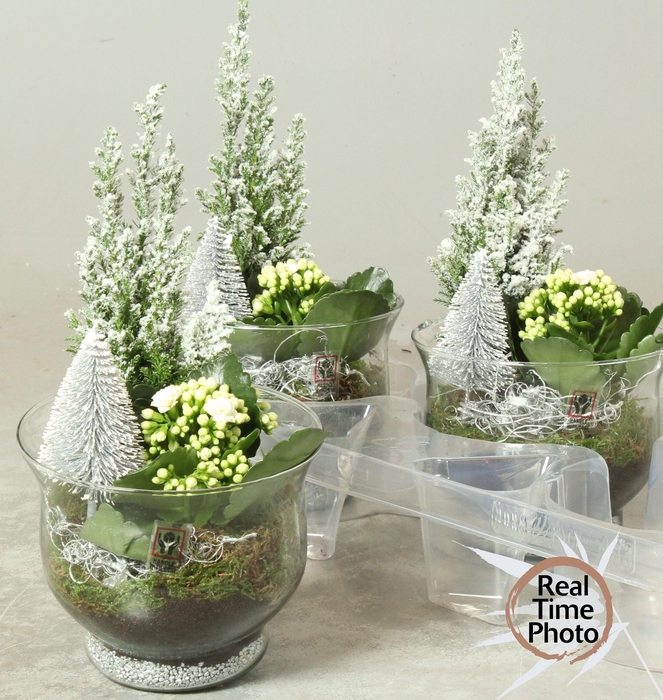 <h4>ARR KAMERPL</h4>