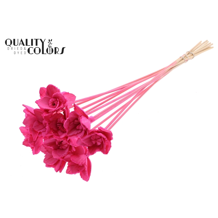<h4>Shola Queen Flower on stem Cerise</h4>