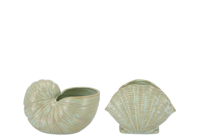 <h4>Dion Green Pot Snail Ass 16x12x11cm</h4>
