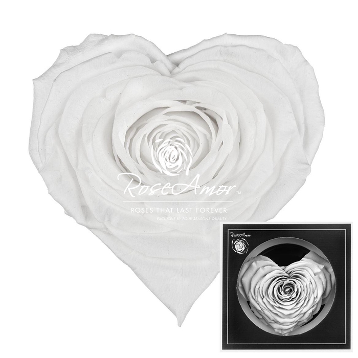 <h4>Corazon Whi01</h4>