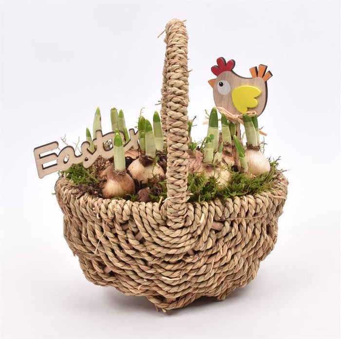 <h4>Wilg touwmand ovaal 20x15cm</h4>