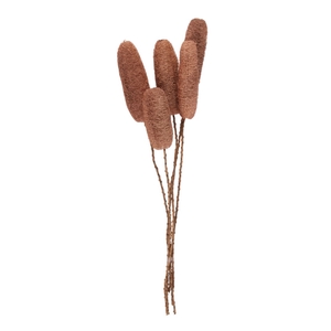 DRY LUFFA BROWN 5PC