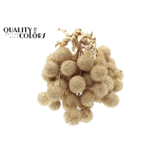 Small ball per bunch in poly Antique Gold