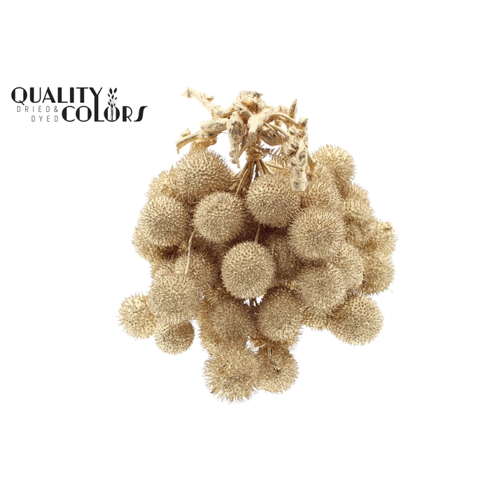 <h4>Small ball per bunch in poly Antique Gold</h4>