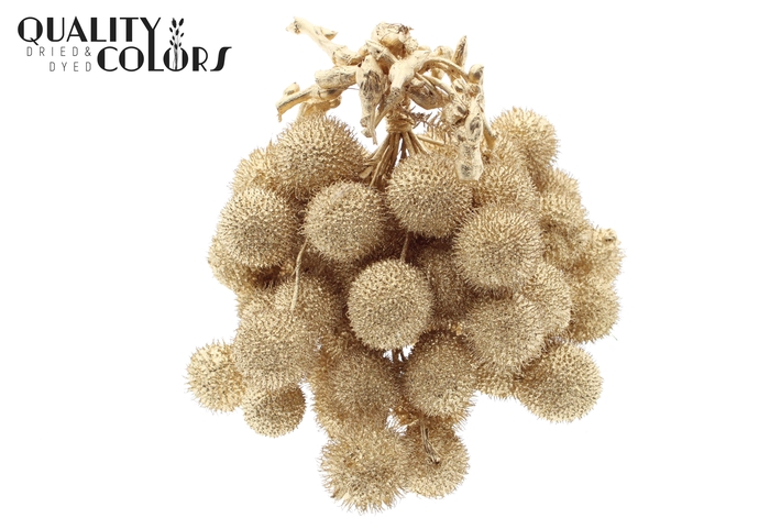 Small ball per bunch in poly Antique Gold