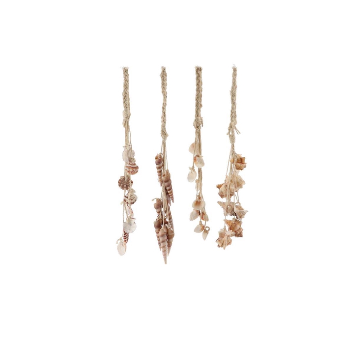 <h4>Shells Hanger 9dlg Ass P/1 Nm</h4>