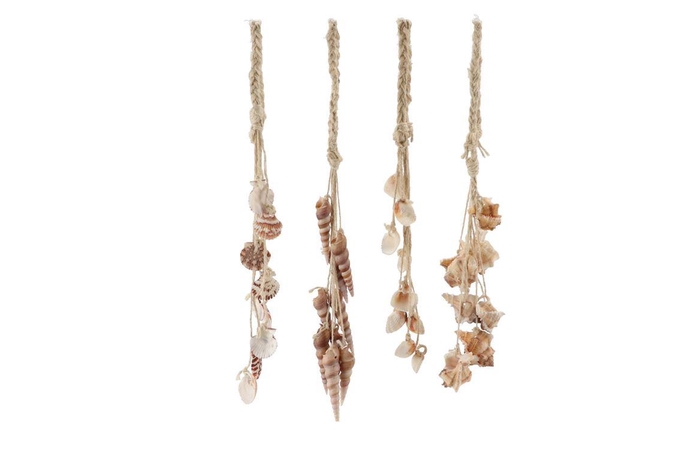 <h4>Shells Hanger 9dlg Ass P/1 Nm</h4>