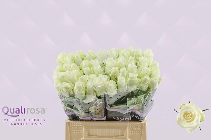 <h4>R Gr Countdown</h4>