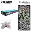 CYMB T DOONIE Decorum 80cm.