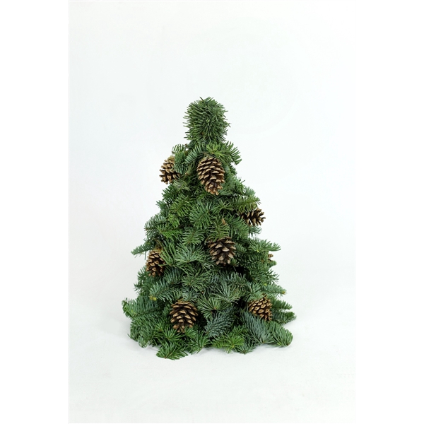 <h4>Nobilis boom deco 3 40 cm</h4>