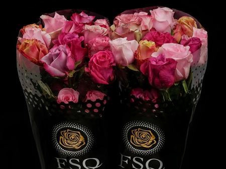 <h4>R Gr Seasons Pink Mix</h4>