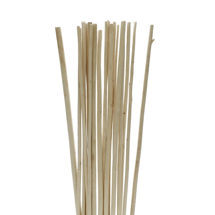 <h4>Dried articles Bamboostick 100cm x20</h4>