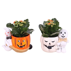 Halloween Arr. Indoor Ceramic Ghost/Mummy pot Ø18cm with 1PP