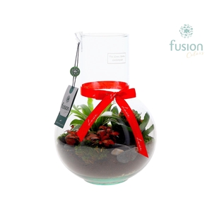 Green Bottle Suzanne Medium met Love arrangement