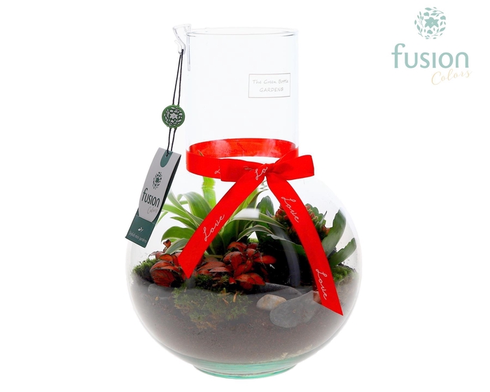 <h4>Green Bottle Suzanne Medium met Love arrangement</h4>