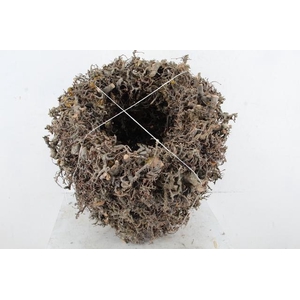 WREATH BONSAI 45 CM