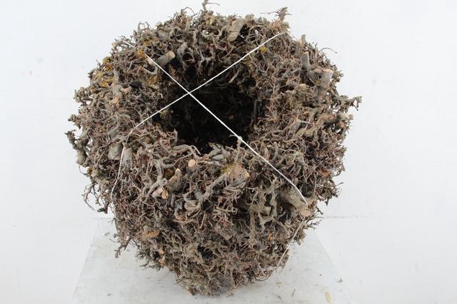 <h4>WREATH BONSAI 45 CM</h4>